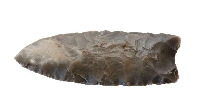 A stone head made by the Clovis culture, believed to be the first wave of humans on the American continent