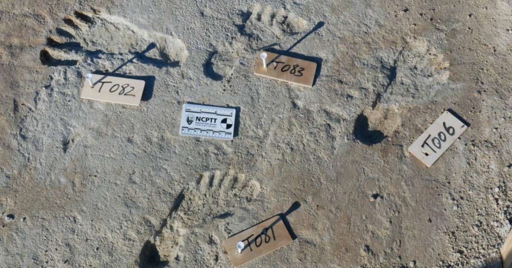The astonishing discovery that points to human presence in the Americas much earlier than previously thought