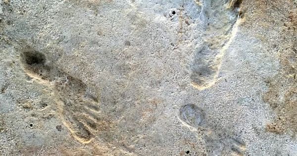 Footprints found in the United States alter the history of early humans in the Americas