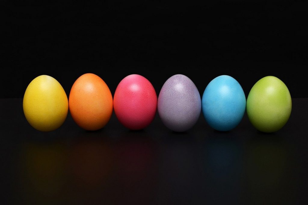 Scientists say they have discovered a "mathematical formula for the shape of eggs" |  Science