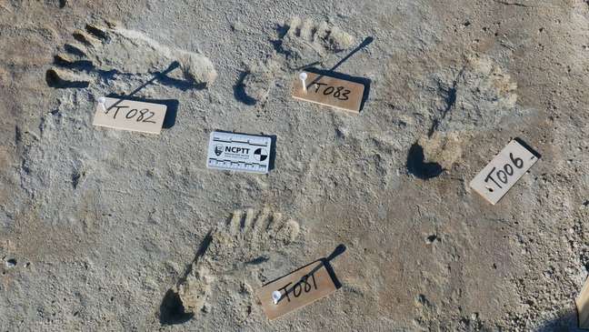 A team of scientists working in the southwestern United States has found human footprints dating back between 23,000 and 21,000 years