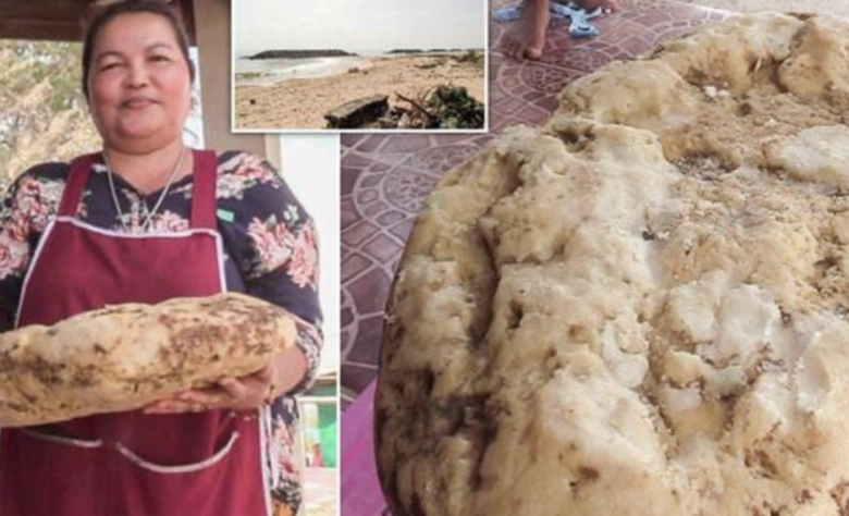 Whale vomit makes another millionaire in Thailand - Credit: Reproduction