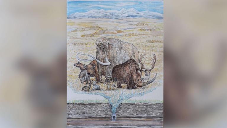 Mammoth Steppe foi um ecossistema único que hospedava vários animais de grande porte, como os mamutes, no Ártico