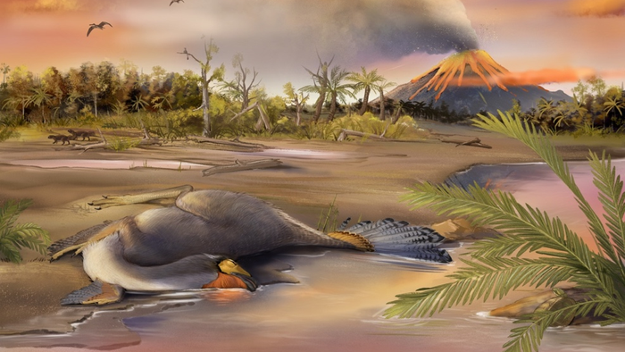 Fóssil bem preservado encontrado na China pode conter DNA de dinossauro