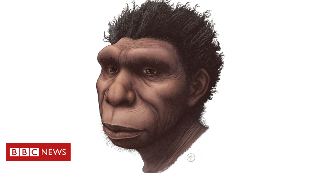 Homo bodoensis: the new species that some scientists consider a direct ancestor of humans