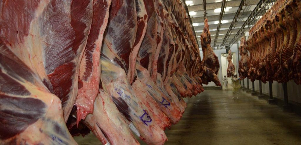 Two months later, the Chinese ban on Brazilian beef continues and losses may exceed R$1.8 billion