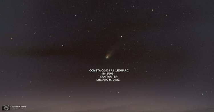 Comet Leonard - Luciano Miguel Deniz - Luciano Miguel Deniz