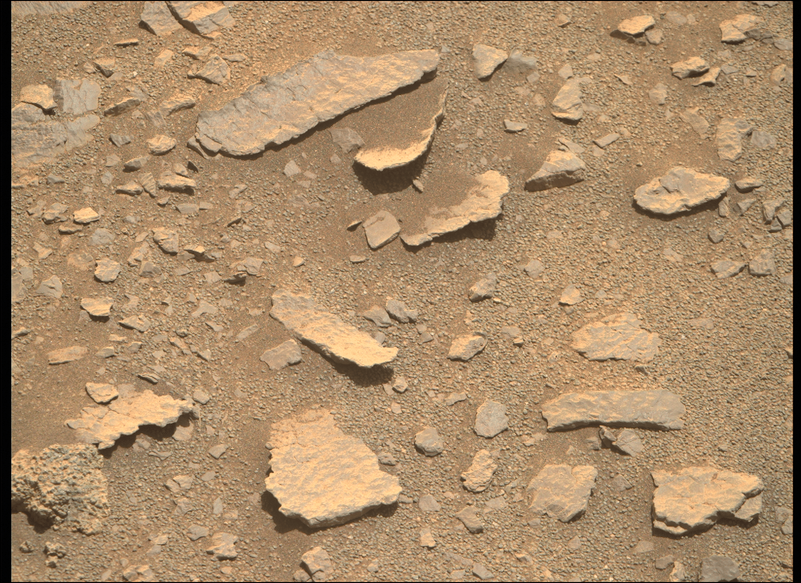 The image was taken on September 20 from the soil of Mars.  The image was taken with a pair of Mastcam-Z sensors - NASa / JPL-Caltech / ASU