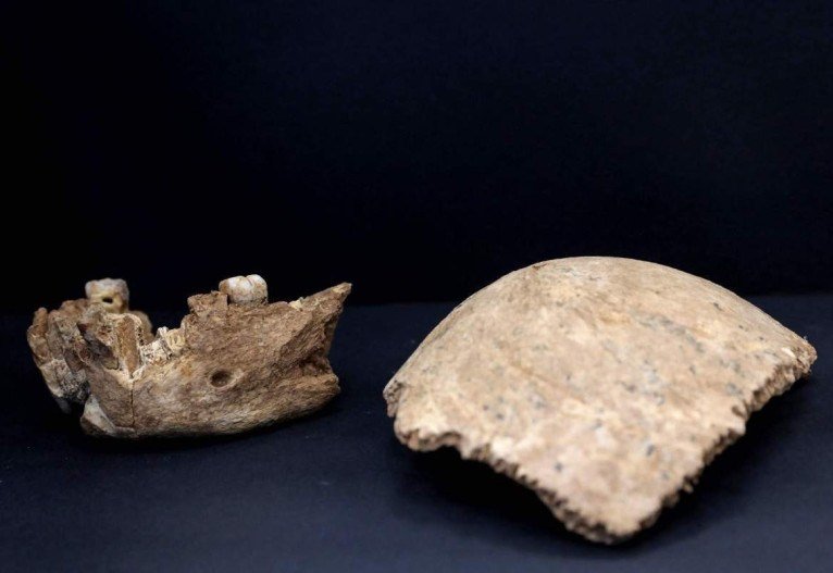 From 140,000 to 120,000 years ago, the fossils of Homo Nesher Ramla possessed characteristics of Neanderthals, such as jaws, and archaic humans, in particular, a skull. 