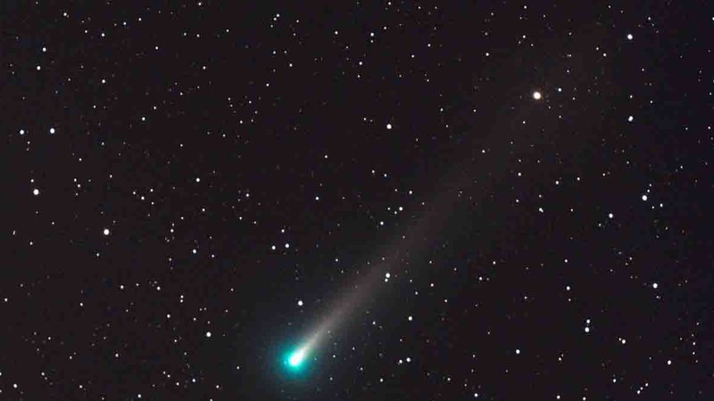 "Christmas Comet," Leonard To Appear This Week On MS;  See how to watch Mediamax Newspaper