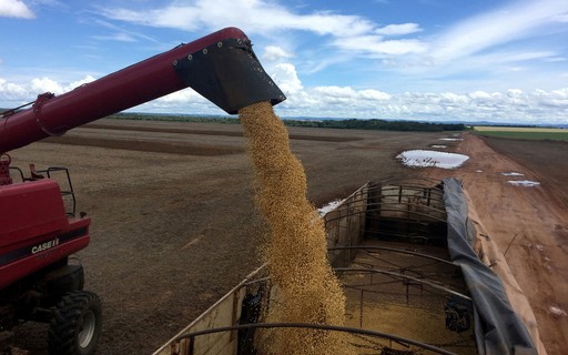 Analyst says new soybean crop in Brazil should put pressure on US exports - Globo Rural Magazine