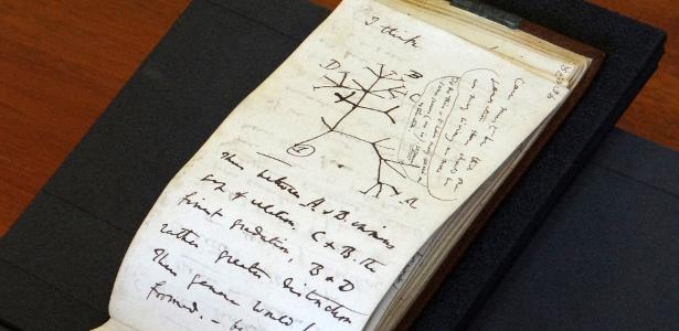 Darwin's notebooks reappear in England after a 20-year disappearance