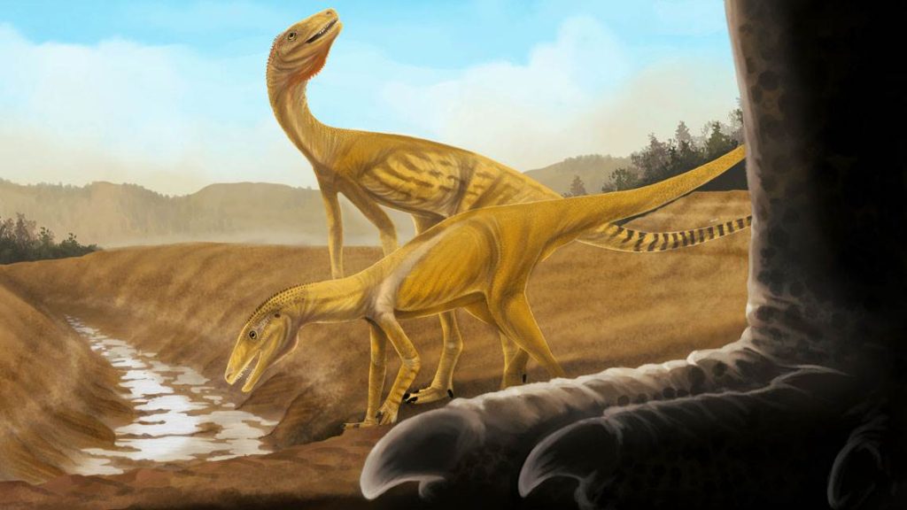 The oldest dinosaurs in South America were discovered in the interior of the Rio Grande do Sul