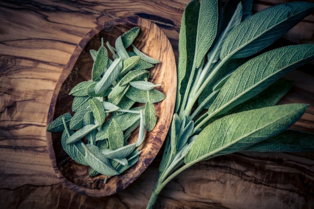 Benefits of sage: Find out how beneficial it is for health and learn how to add it to your diet
