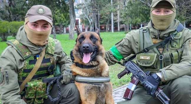 Max the dog learned commands in Ukrainian and is now working with the country's forces
