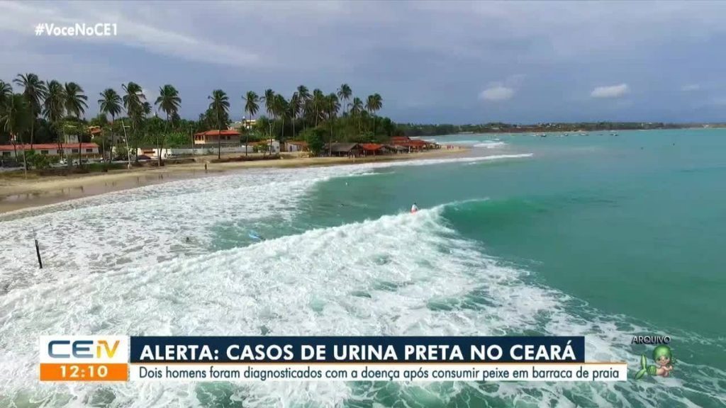 Two men contracted “black urine” after eating contaminated fish in Ceará  car