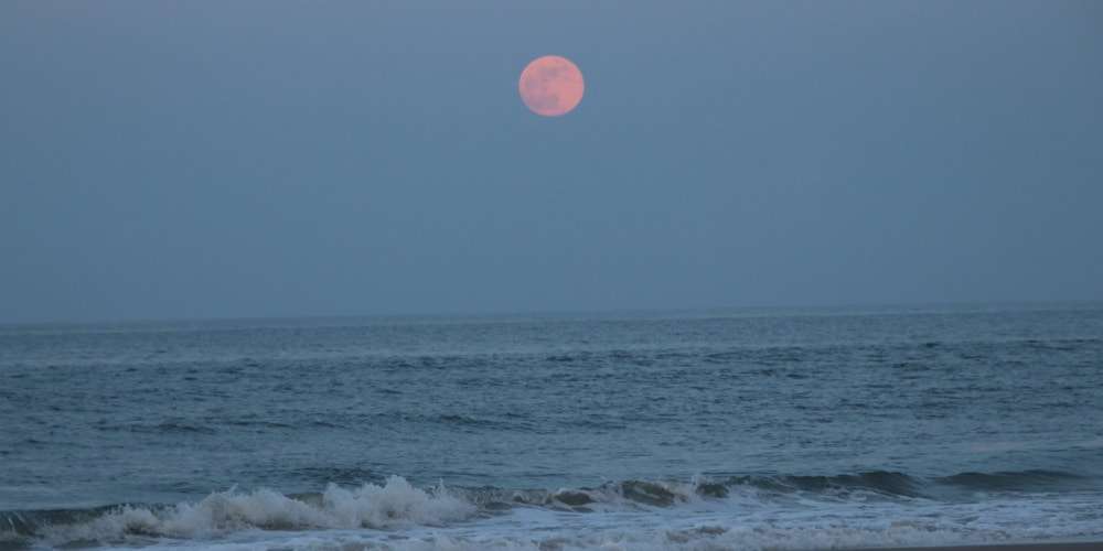 The strawberry moon appears in the sky on Tuesday (14);  Know what time it starts - science