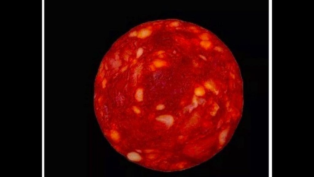 A famous scientist apologizes for publishing a picture of Salami and says she is a star |  Sciences