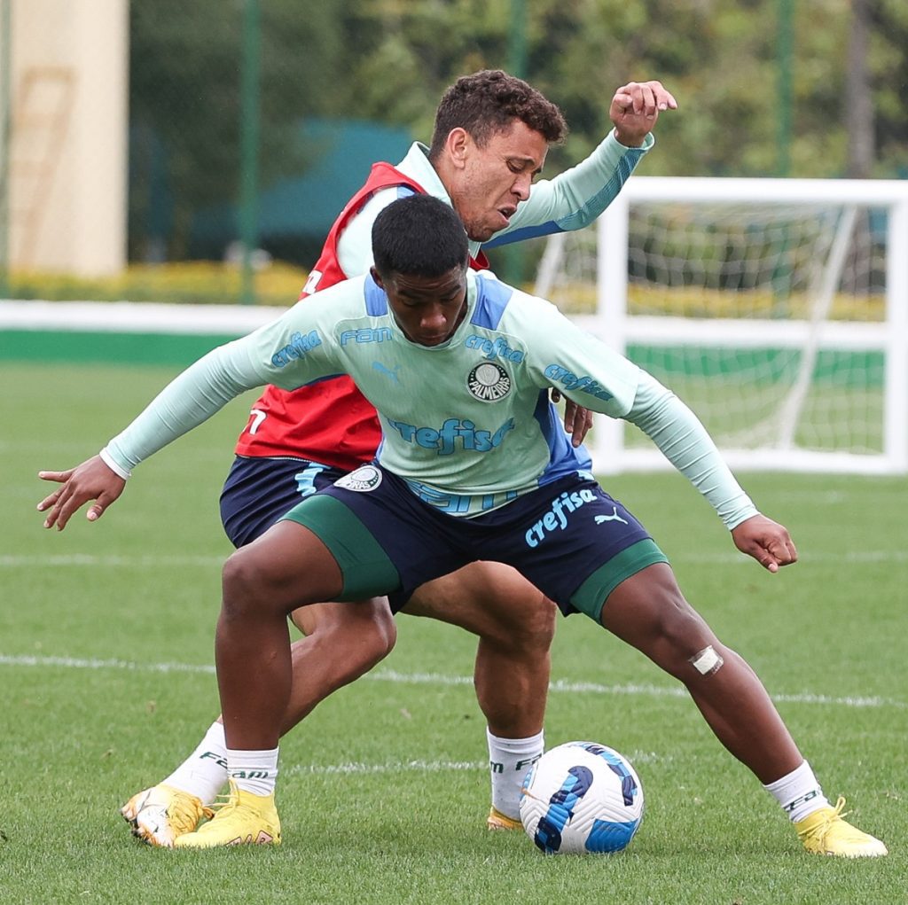 Palmeiras squad: The defending champions prepare for the Libertadores match.  Indrik participates in training |  Palm trees