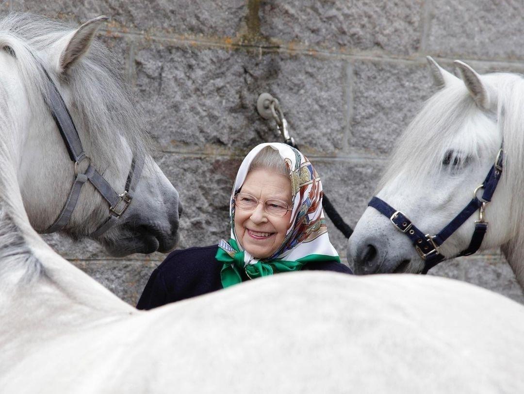 Queen Elizabeth with horses at Balmoral Manor - clone / Instagram