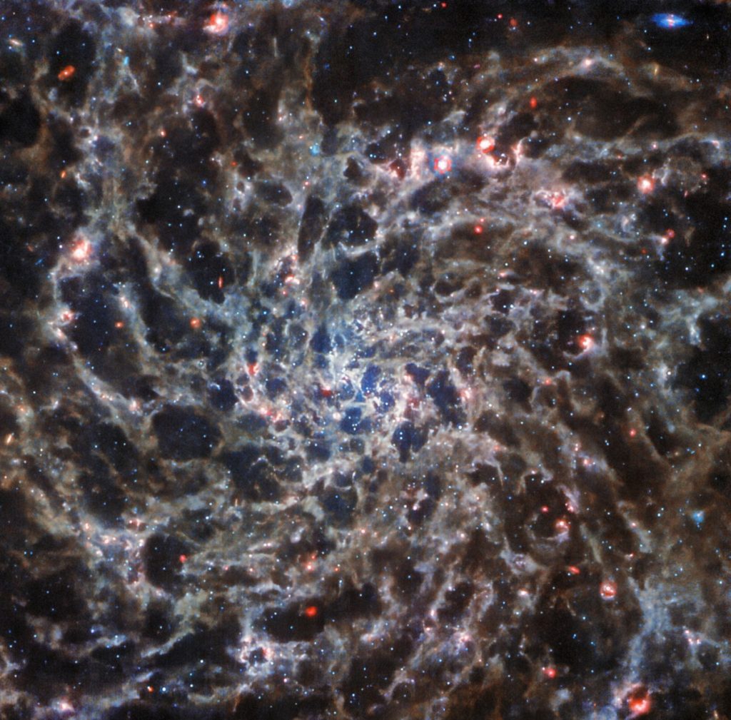 'Cosmic Bones': James Webb reveals unprecedented details of galaxy IC 5332 |  Sciences
