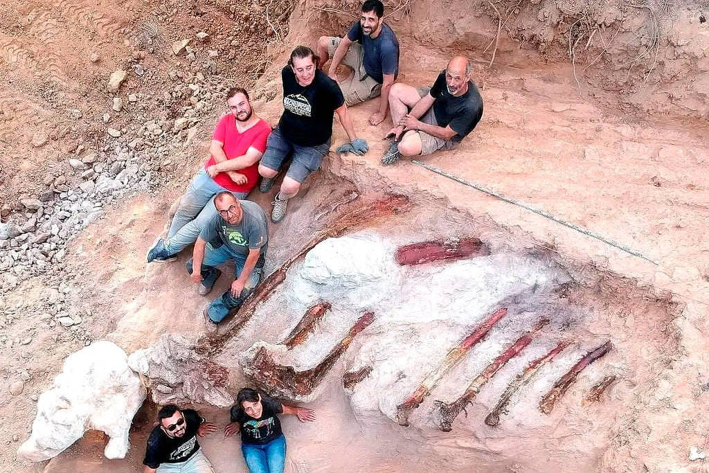 Megadinosaur fossil discovered in Portugal - 05/09/2022 - Science