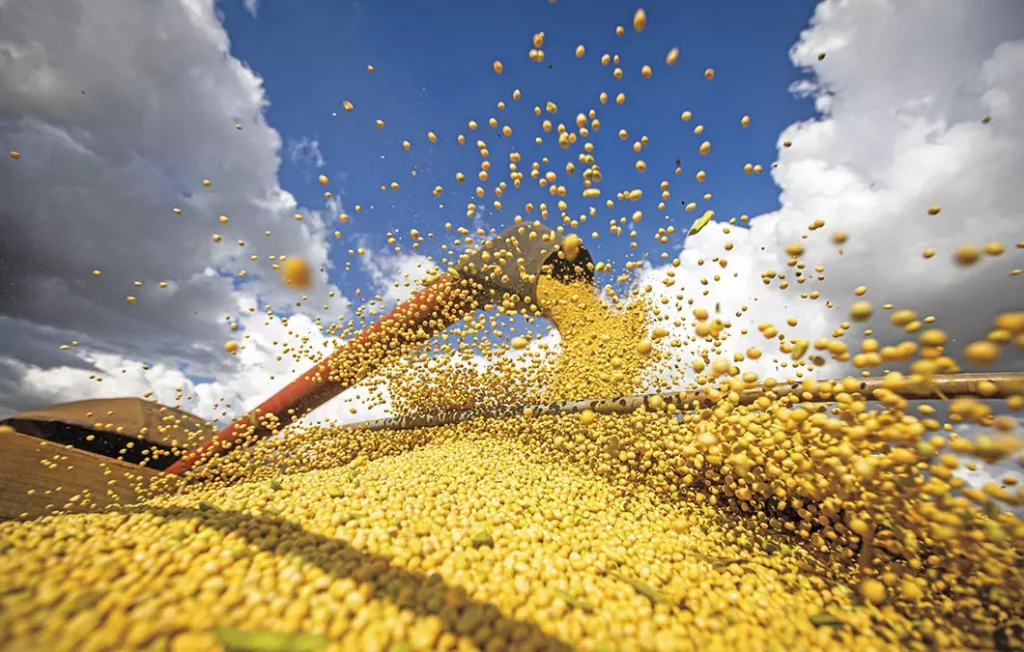 Brazil to harvest 148.5 million tonnes of soybeans in 2022/23, US says