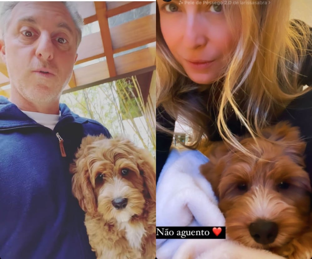 Luciano Huck and Angelica appear with a new family member