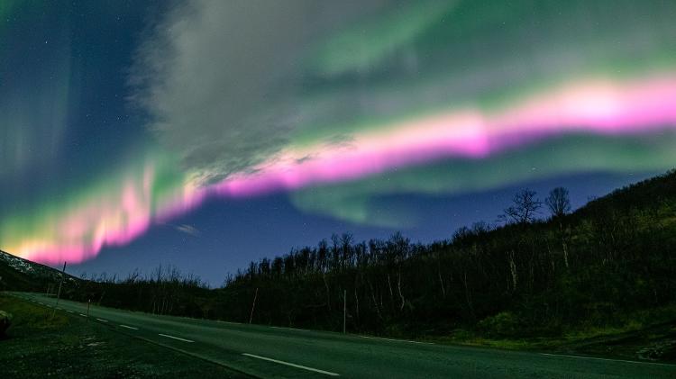 The aurora borealis - breeding / Greenlander Tromsø - breeding / Greenlander Tromsø