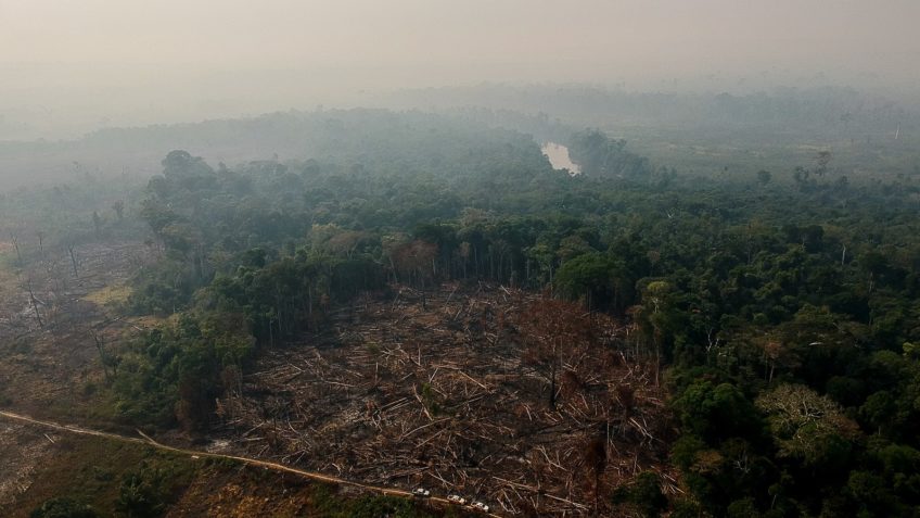 "Reuters" says that the United States should punish those responsible for the destruction of the Amazon forest