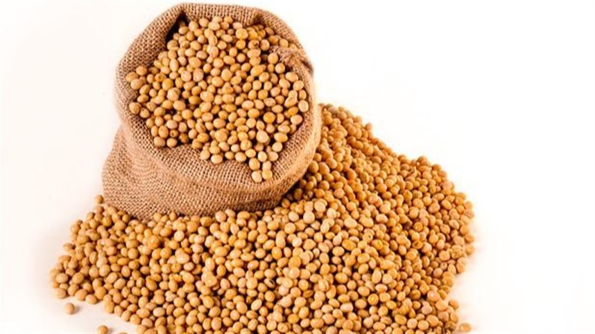 US soybean futures rise